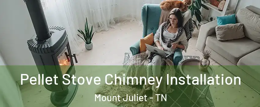  Pellet Stove Chimney Installation Mount Juliet - TN