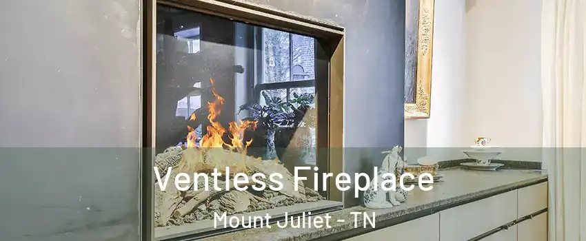  Ventless Fireplace Mount Juliet - TN