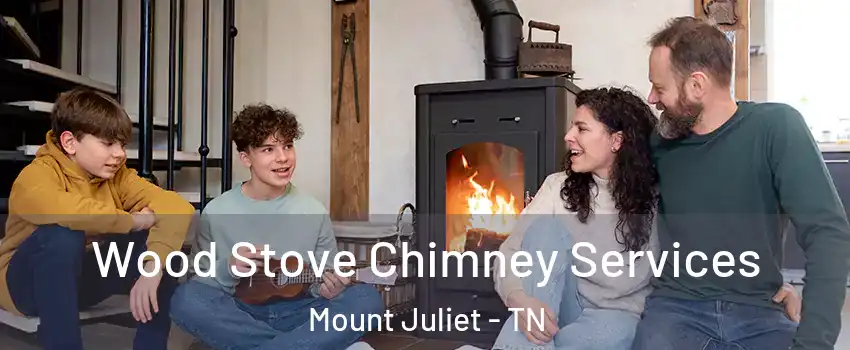  Wood Stove Chimney Services Mount Juliet - TN